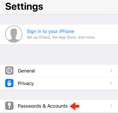 iPhone / iPod Touch iOS12 - Step 2 - Click 'Passwords & Accounts'