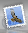 Mac Mail - Step 1 - Open Mail